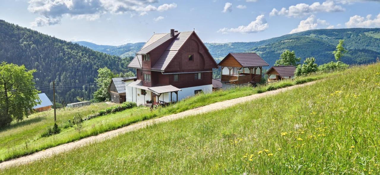 Pensiunea Amalia Гырда-де-Сус Экстерьер фото
